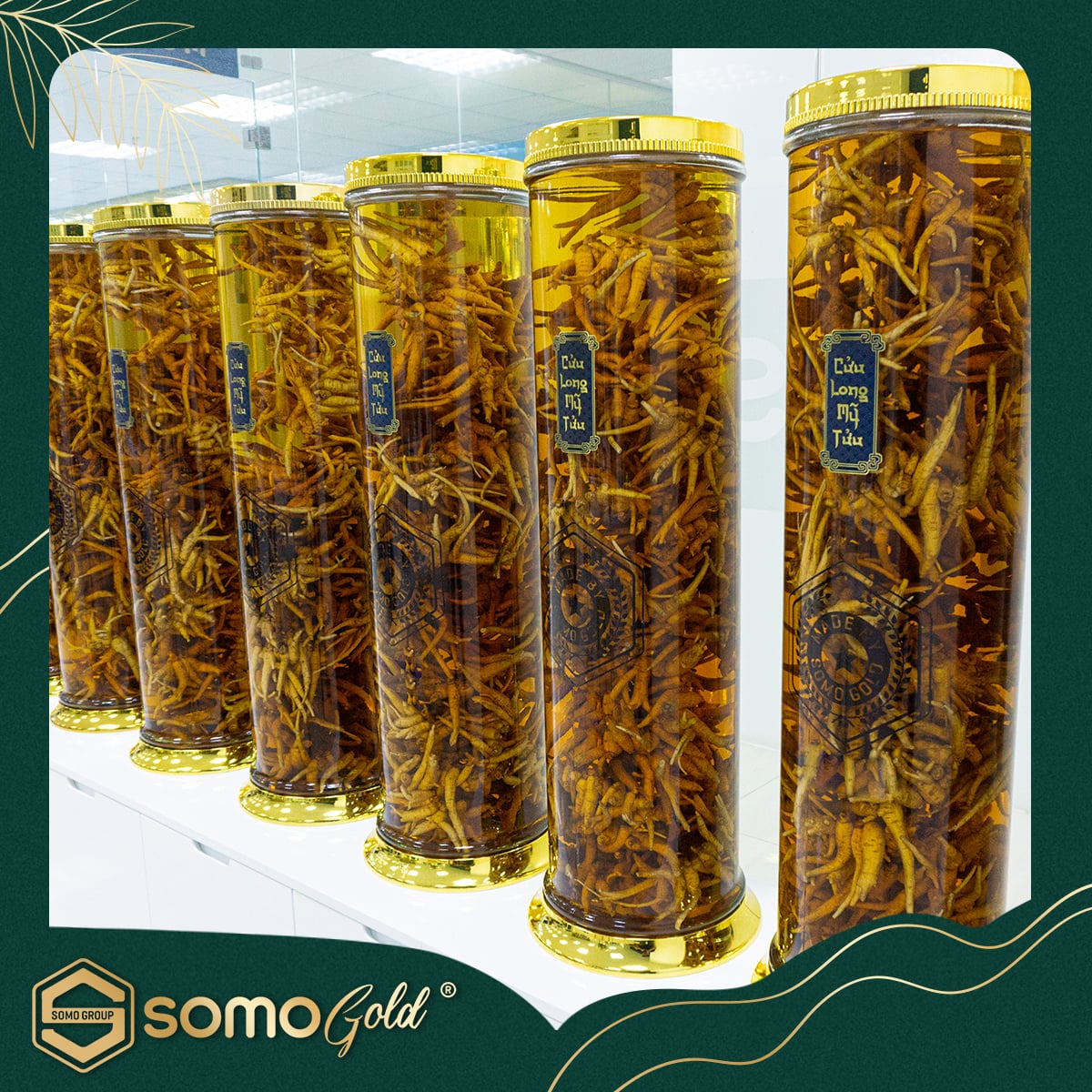 TẠI SAO KHÔNG NÊN NGÂM/BẢO QUẢN RƯỢU TRONG BÌNH NHỰA