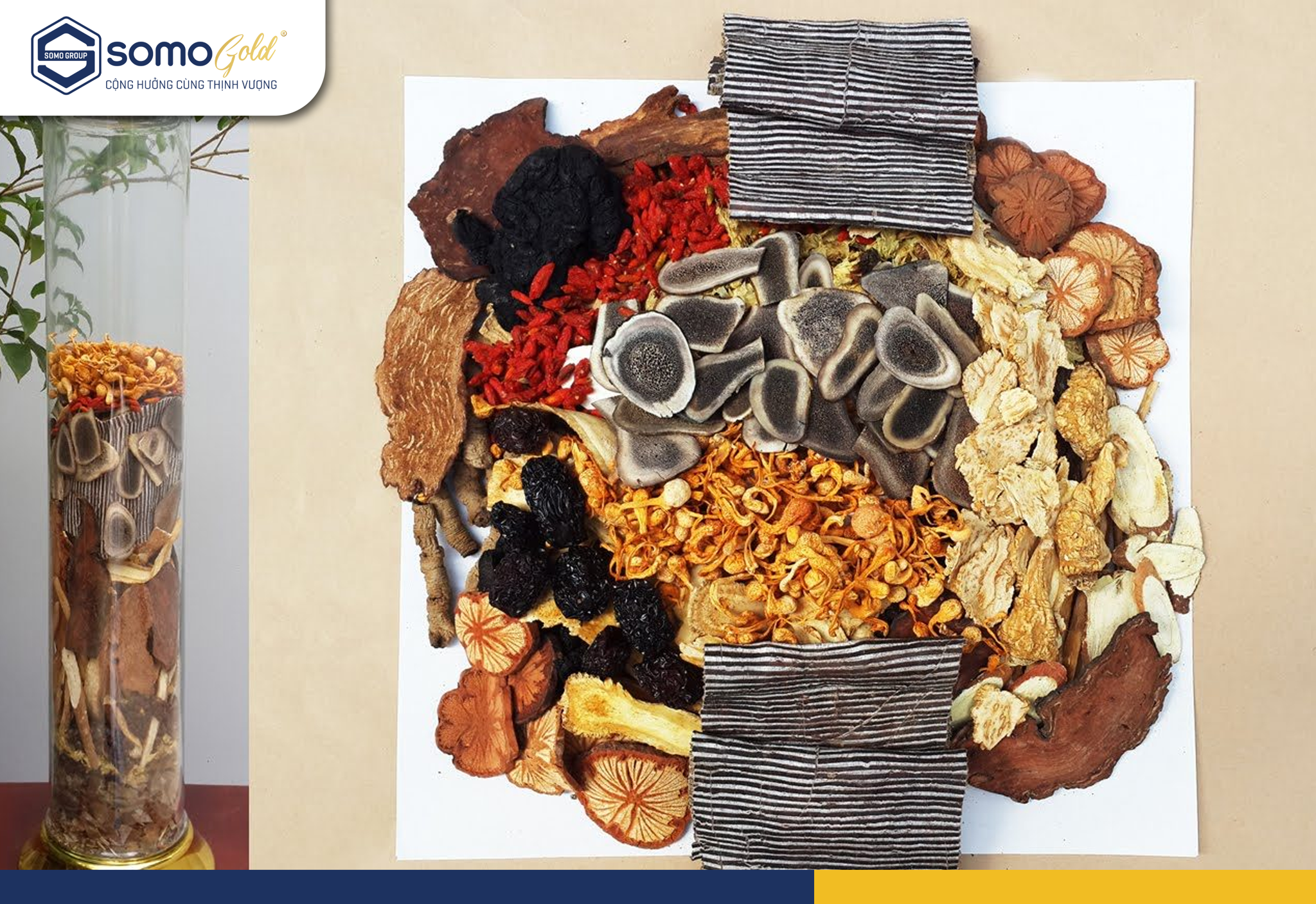 Minh Mạng Thang - Bài thuốc đông y lâu đời và những công dụng không ngờ