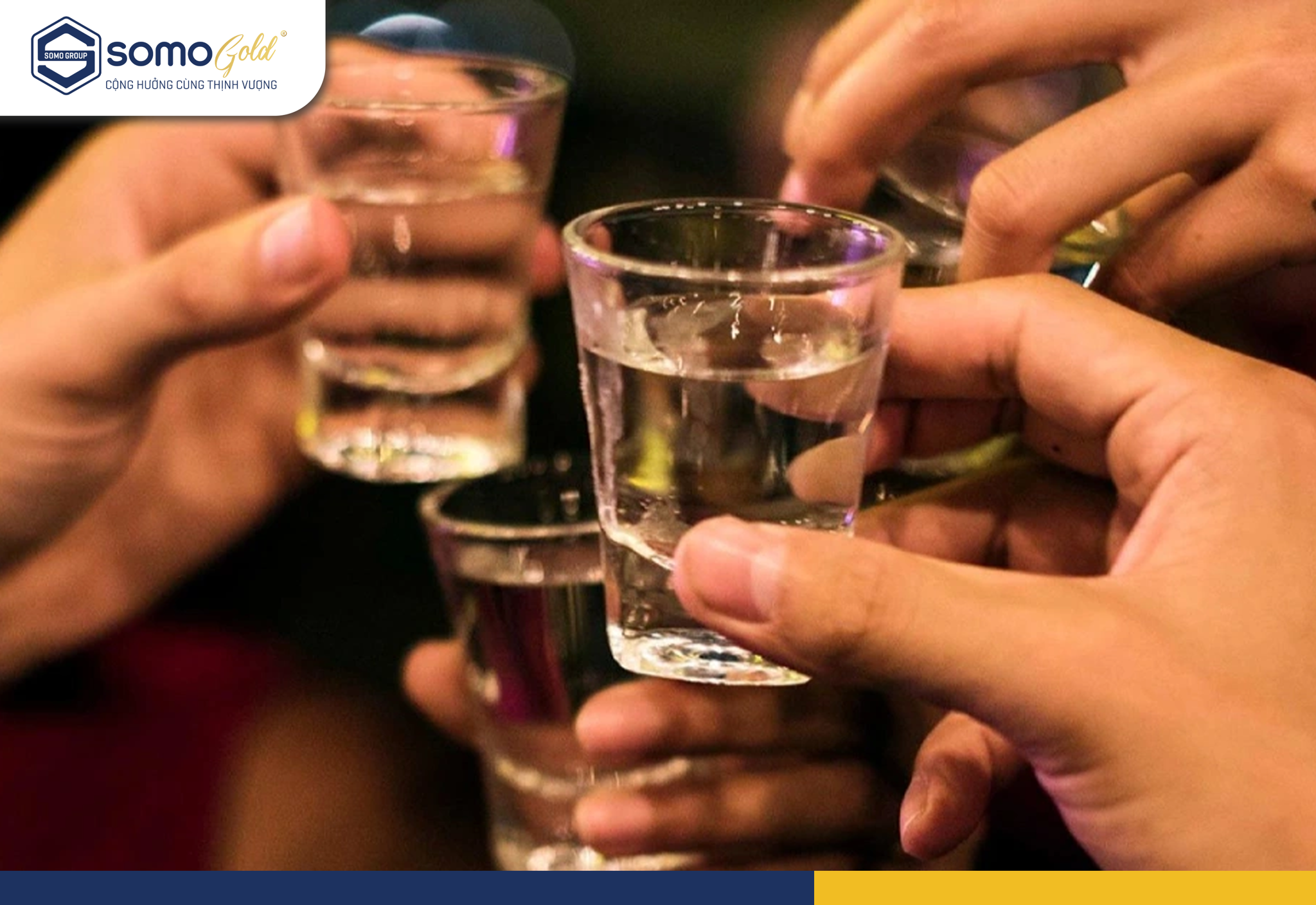 Mẹo uống rượu không say – Giải pháp tăng tửu lượng hiệu quả tại nhà bởi: Somo Gold  02 Tháng 07, 2025  0 Bình luận