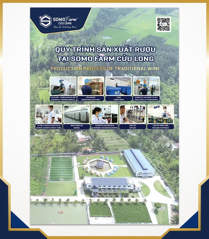 Quy trình sản xuất rượu