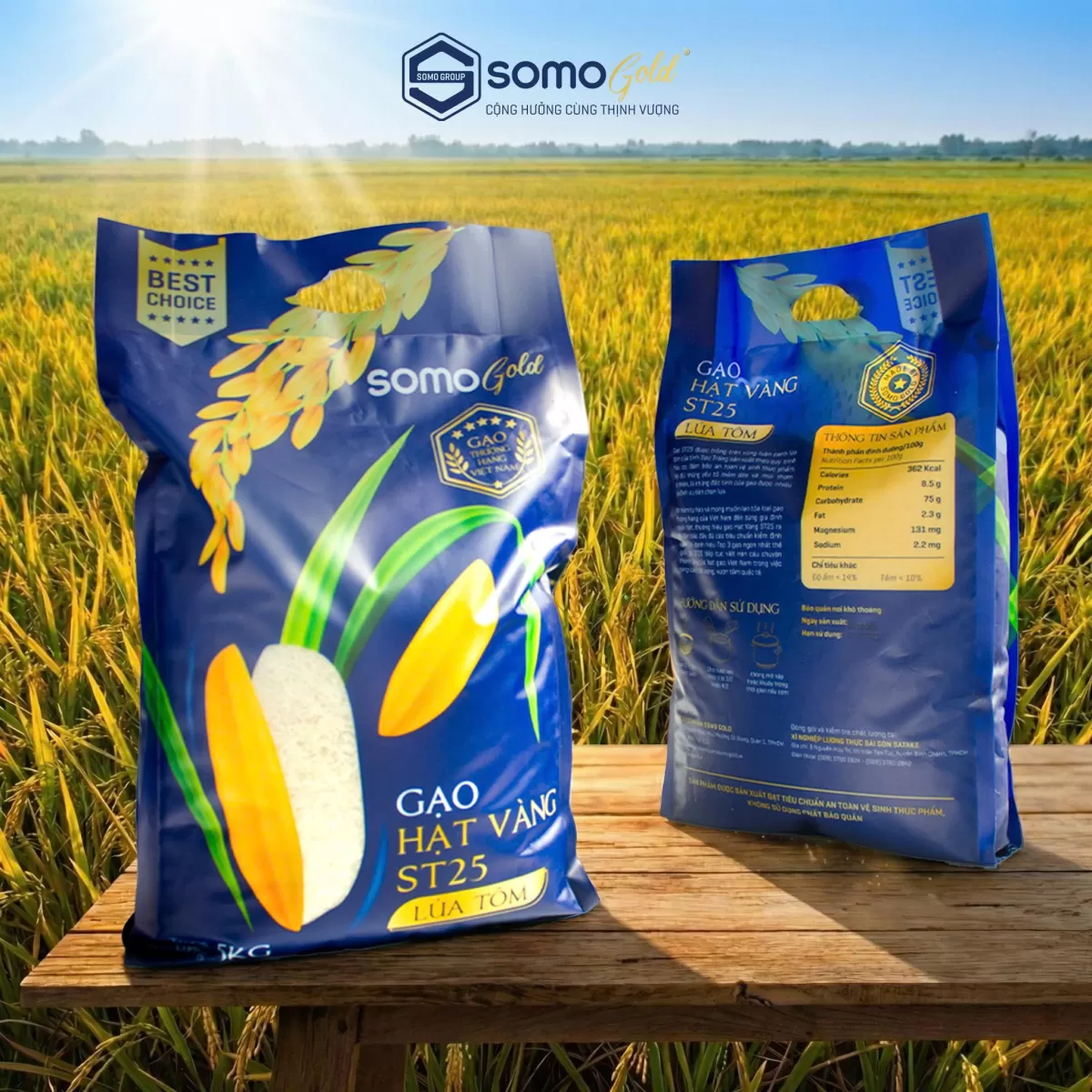 Gạo Hạt Vàng ST25: Tinh Hoa Gạo Ngon Nhất Thế Giới